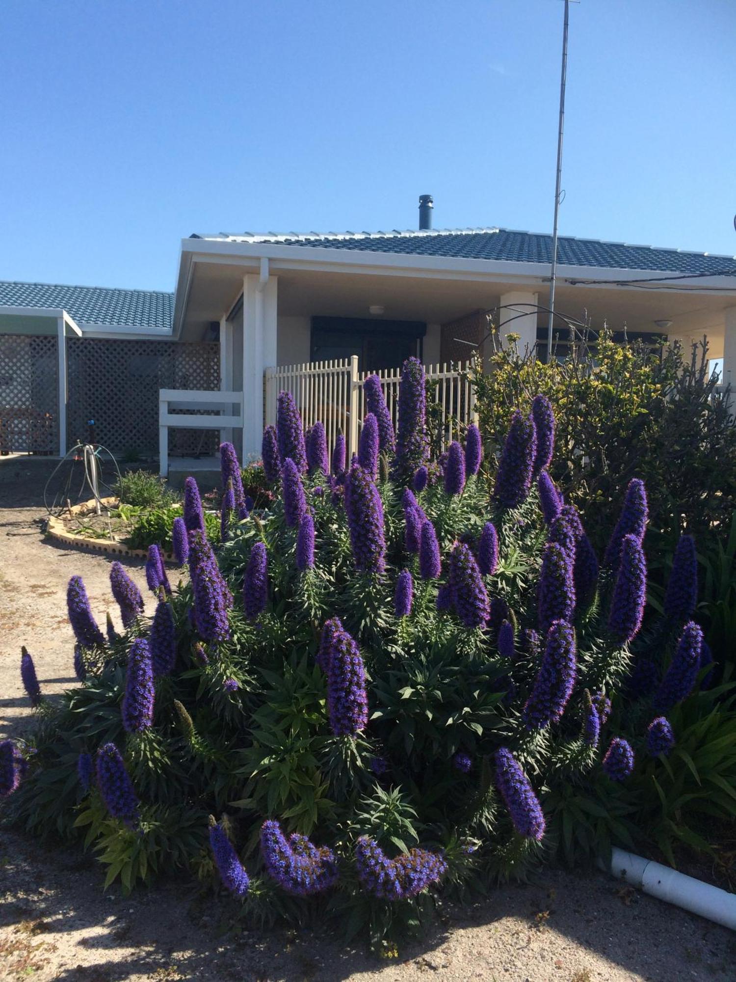 Salty Air Apartments Kingscote Kangaroo Island Exterior photo